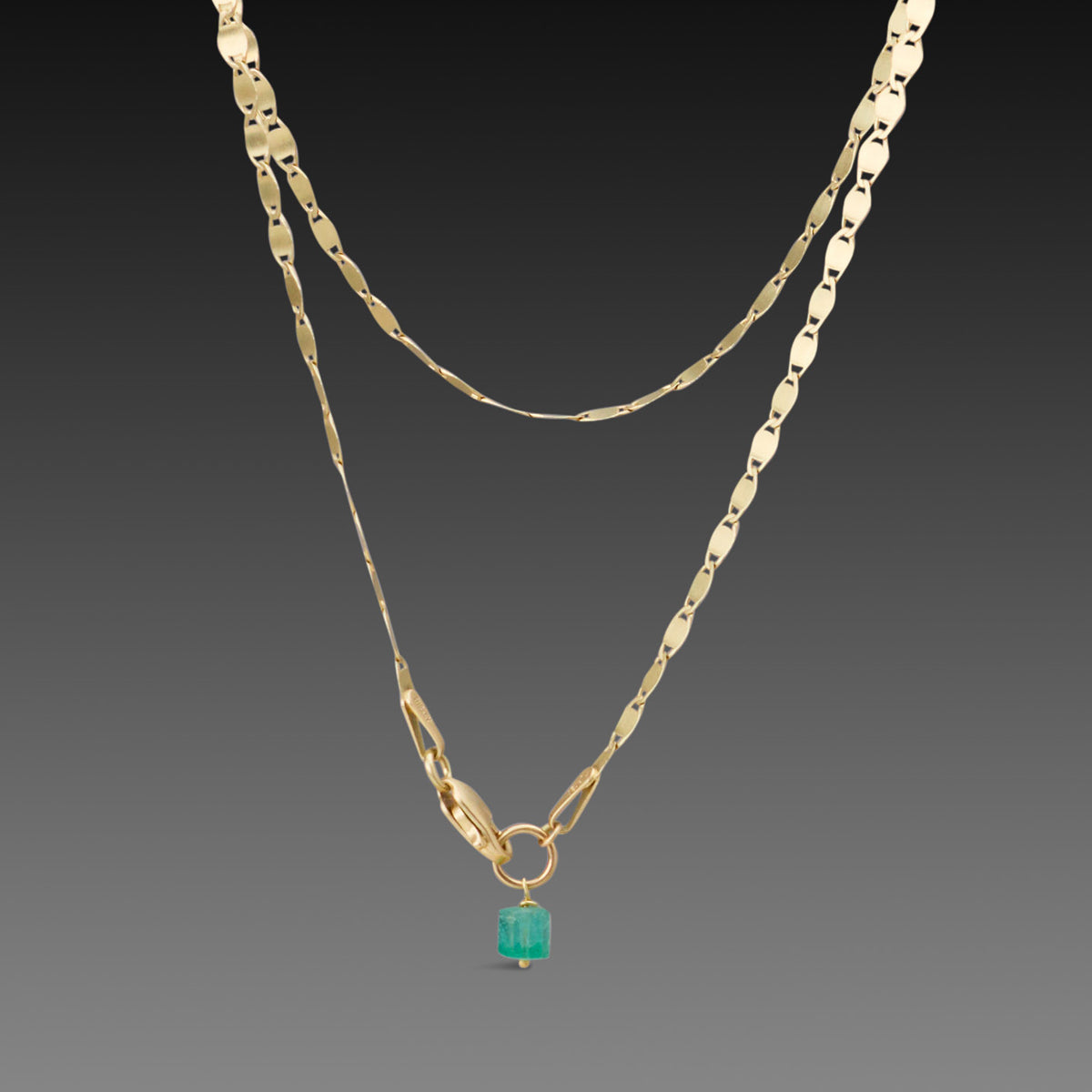 Delicate Gold Flat Chain Necklace