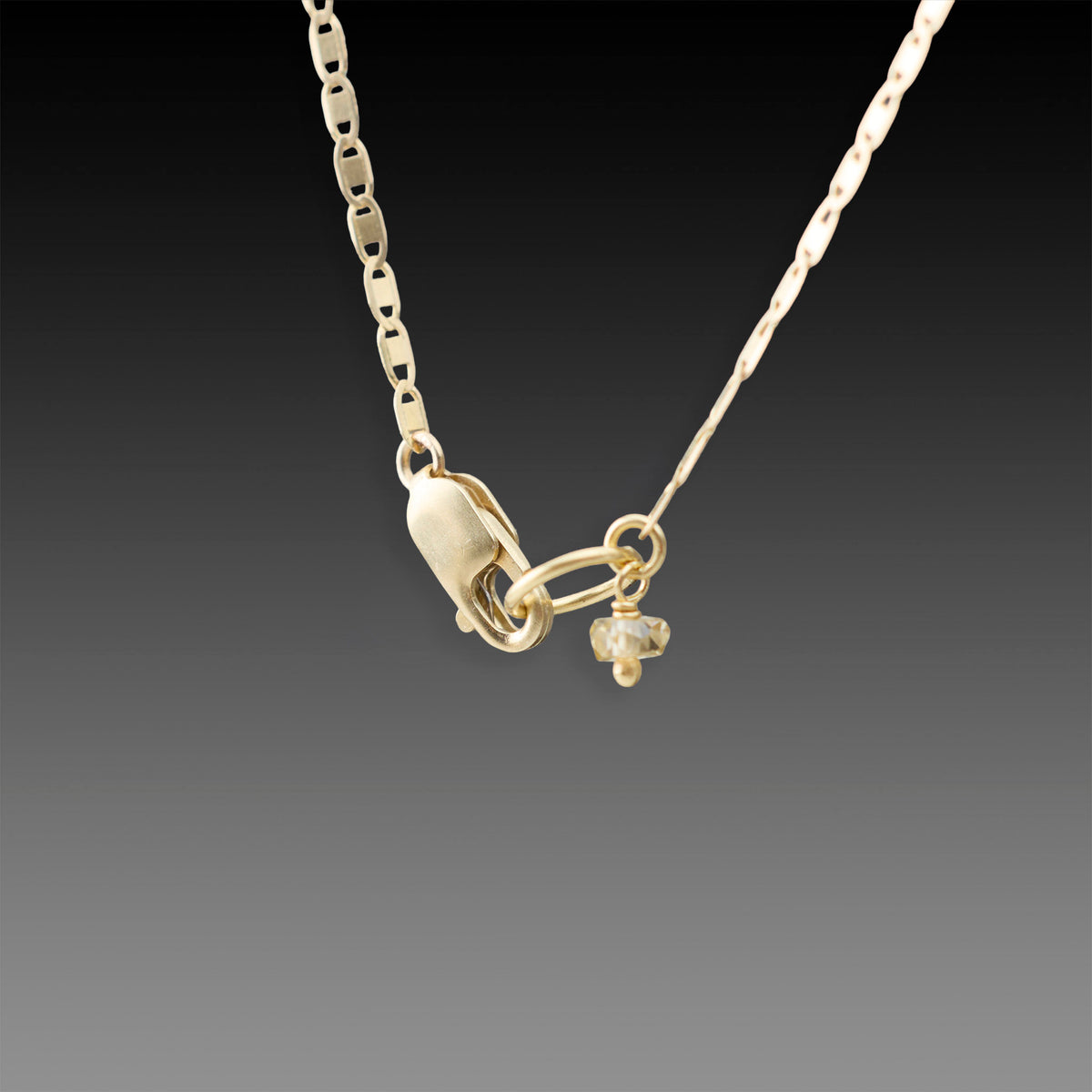 Delicate Gold Flat Chain Necklace