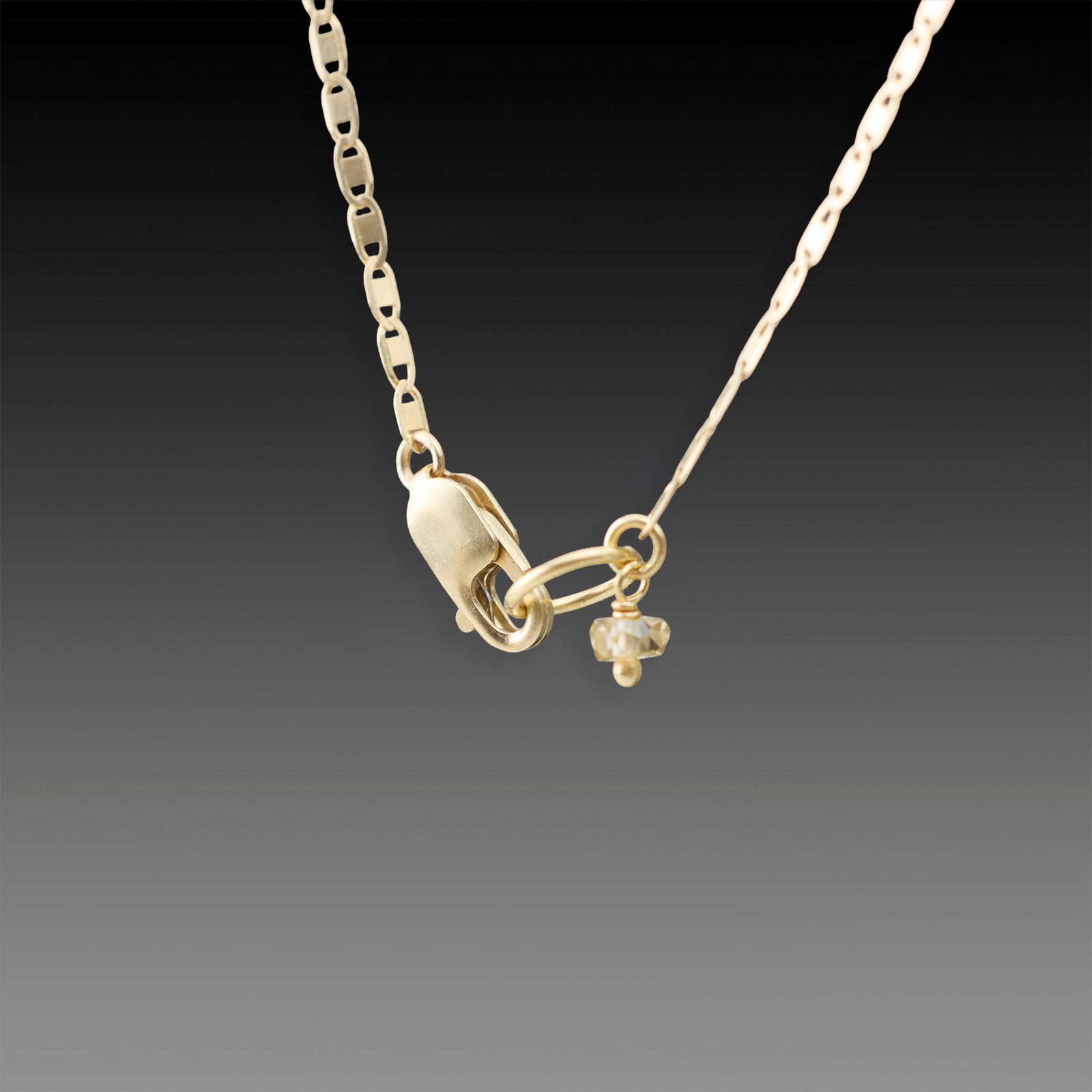 Delicate Gold Flat Chain Necklace