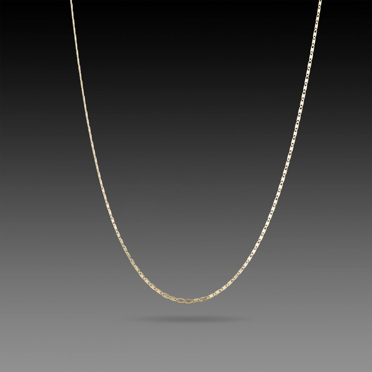 Delicate Gold Flat Chain Necklace