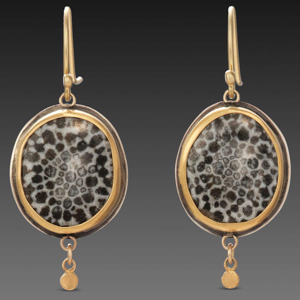 Bryozoan Fossil Earrings