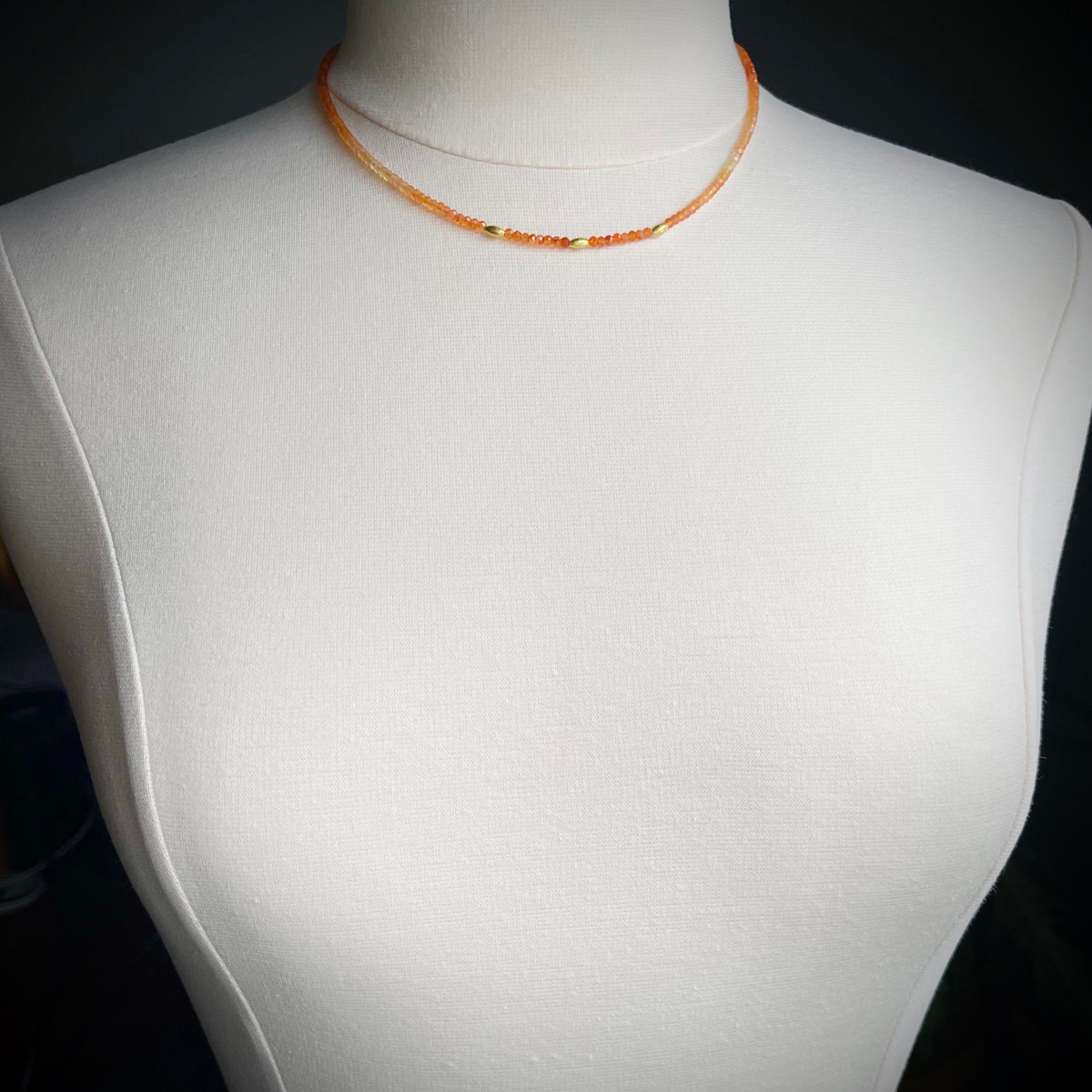 Ombre Carnelian Necklace with Gold Rice Beads
